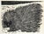 Richard Hood -Porcupine Woodcut on handmade rice paper, ca. mid-20th century Signed in pencil lower right Unique...