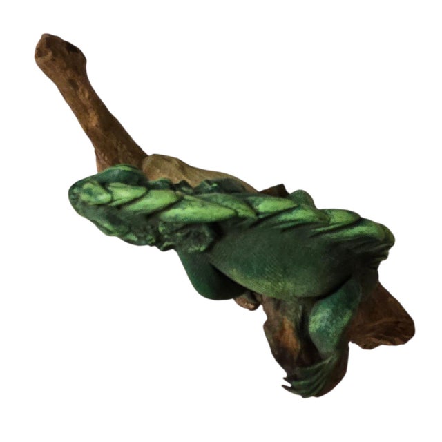 Green Iguana Lizard Sculpture Wood Hand Sculpted Reptile Home Decor Collectible For Sale - Image 12 of 18