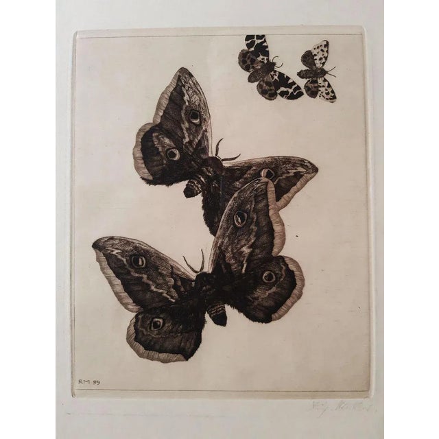 Vier Schmetterlinge - Original Etching by Richard Muller - 1899 1899 For Sale - Image 4 of 4
