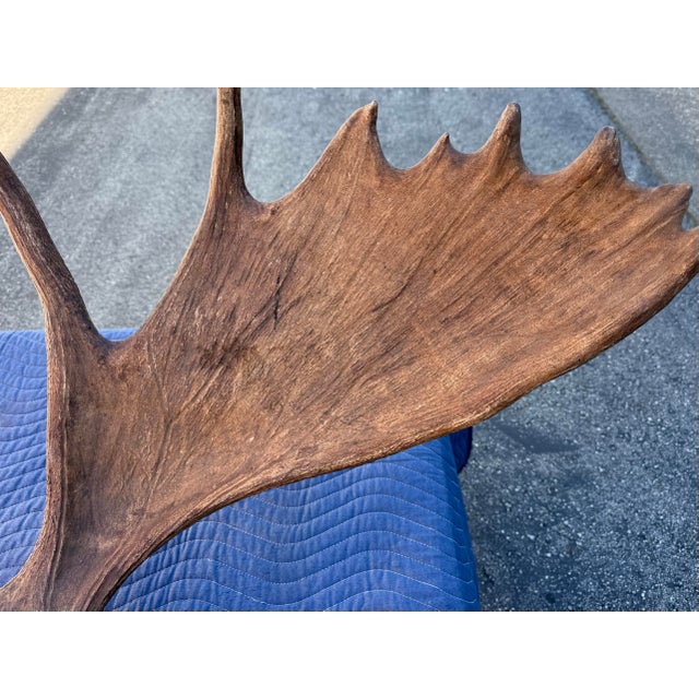 Farmhouse Extra Large Vintage Moose Antler Wall Mount For Sale - Image 3 of 8