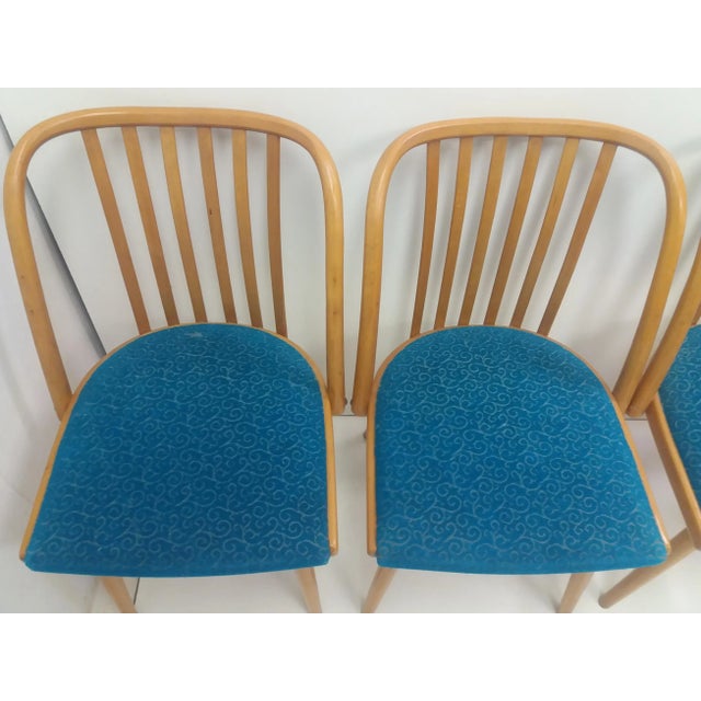 Thonet Czechoslovakian Retro Chairs by Antonín Šuman for Ton, 1960s, Set of 4 For Sale - Image 4 of 12