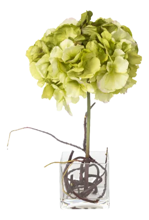 Italian Eternity Cubo Hydrangea Set Arrangement Composition from VGnewtrend