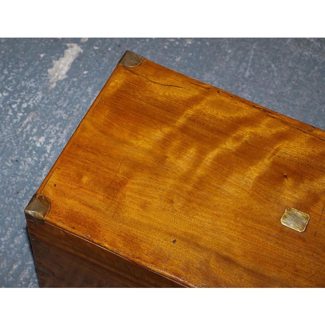 Antique English Camphor Wood Storage Trunk, 19th Century For Sale - Image 9 of 18