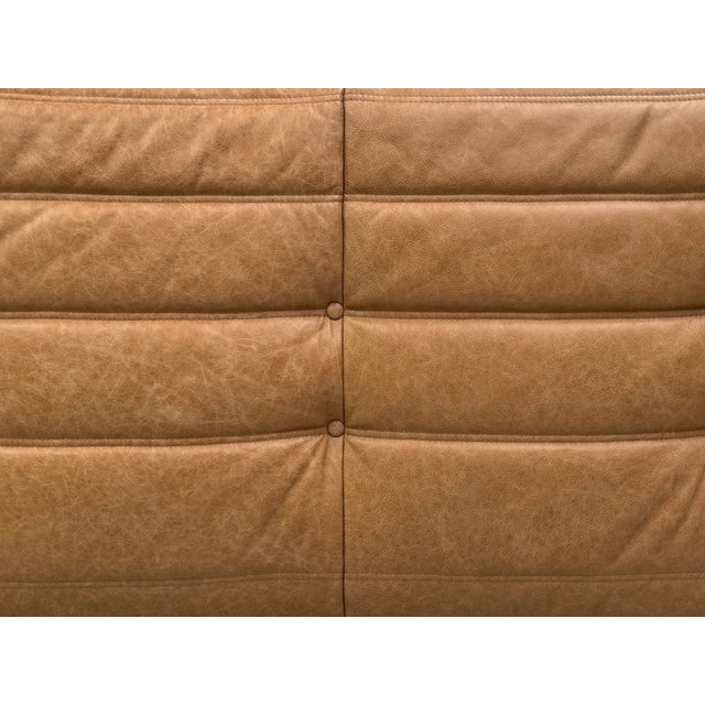 French 3-Seater Togo Sofa in Camel Leather attributed to Michel Ducaroy for Ligne Roset For Sale - Image 13 of 14