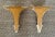 Mid 20th Century Pair Italian Gilded Carved Wall Shelves For Sale - Image 5 of 10
