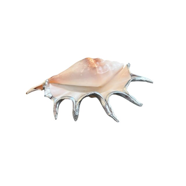 Monumental 13” Natural Shell, Silver Leaf Lambis Spider Conch Sculpture, Organic Coastal Objet D’Art For Sale In Miami - Image 6 of 8