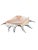 Monumental 13” Natural Shell, Silver Leaf Lambis Spider Conch Sculpture, Organic Coastal Objet D’Art For Sale In Miami - Image 6 of 8