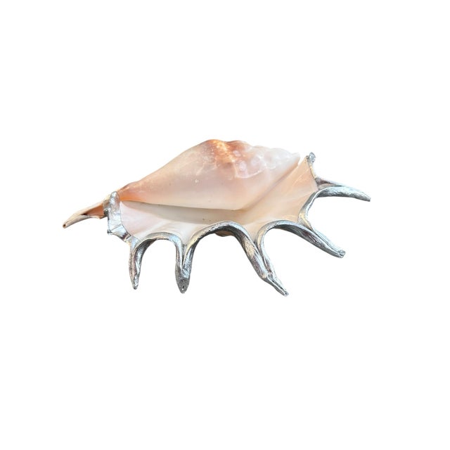 Monumental 13” Silver Leaf Lambis Spider Conch Shell Sculpture, Organic Coastal Objet D’Art For Sale In Miami - Image 6 of 8