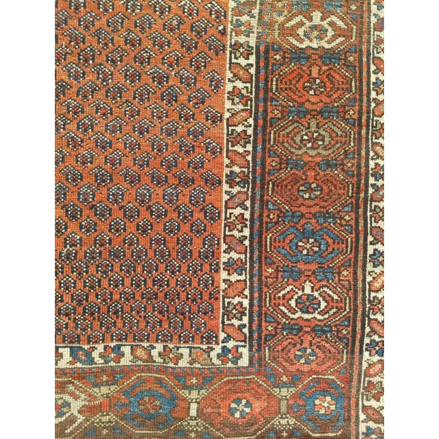 Antique Persian Kurdish Area Rug, Handwoven All-Over Paisley Pattern, Rust Red & Navy, 3’ X 6’ For Sale - Image 4 of 8