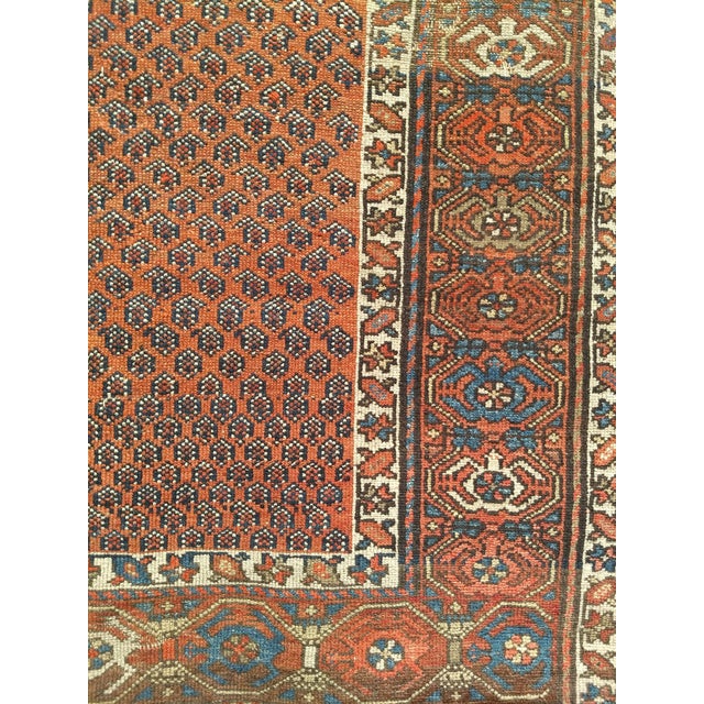Late 19th Century Kurdish Rug For Sale - Image 4 of 8