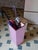 "Plinto Violetto" umbrella stand by Pietro Meccani for Meccani Design. A stunning design piece crafted from light walnut...