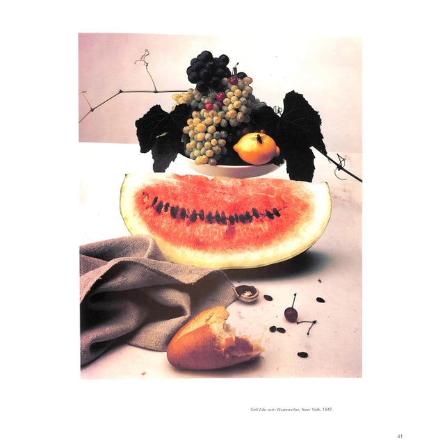 "Passage" 1991 Penn, Irving For Sale In New York - Image 6 of 11