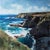 Winter Light on Mutton Cove by Jon Doran | Oil on panel Seascape with cliffs and ocean waves For Sale