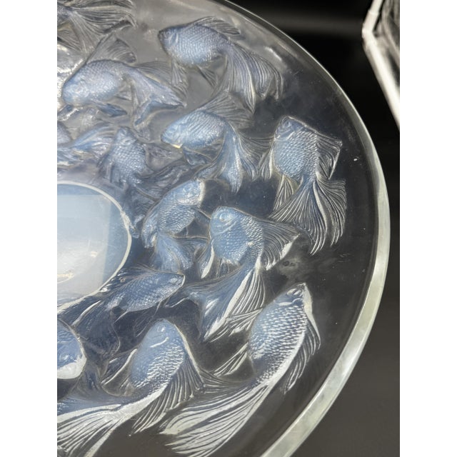 Glass Cyprins Cup from R. Lalique, 1921 For Sale - Image 7 of 11