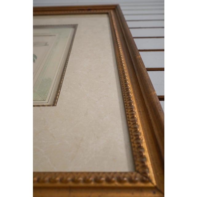Gold Vintage Hand Colored Professionally Framed & Matted Engraving For Sale - Image 8 of 10