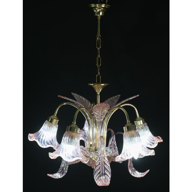 Liz Taylor, Iridiscent Pink Murano Glass Chandelier, 1980s For Sale - Image 14 of 18