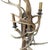 Late 20th Century Pair of Fallow Deer Antler Sconces For Sale - Image 5 of 13
