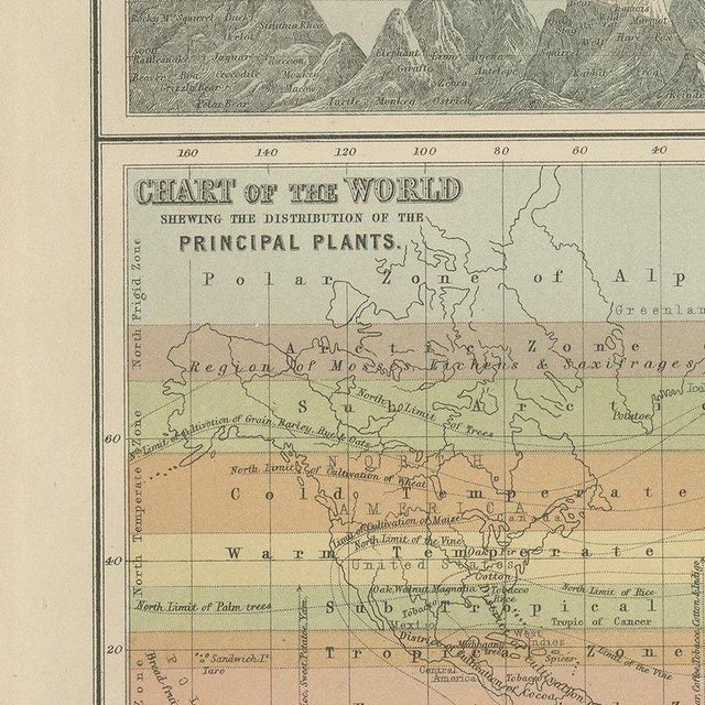 Antique Chart of the World, 1870 For Sale - Image 6 of 12