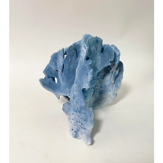 Natural Blue Coral Specimen Coastal Home For Sale - Image 4 of 6