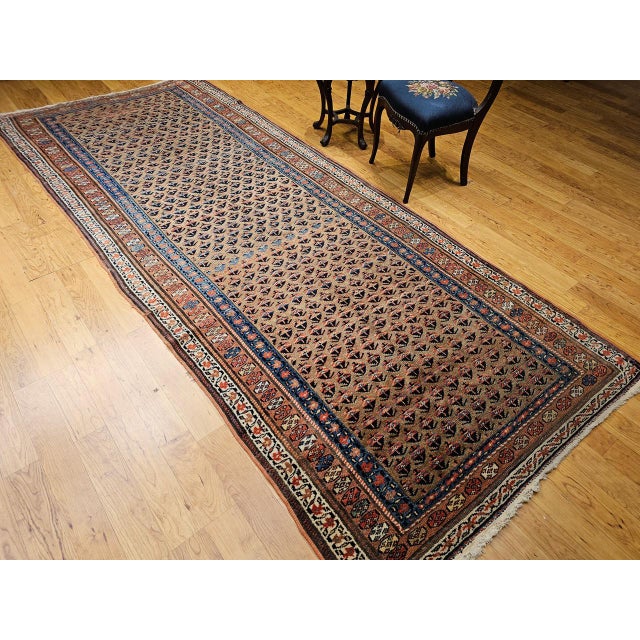 Vintage Persian Kurdish Bidjar Gallery Rug, Hand-Knotted Wool, Allover Paisley Design, Camelhair & Blue, 5x12 For Sale In Chicago - Image 6 of 16