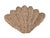 Pottery Barn Wicker Clam Shell Sculptural Wall Art-a Pair For Sale In Charlotte - Image 6 of 13