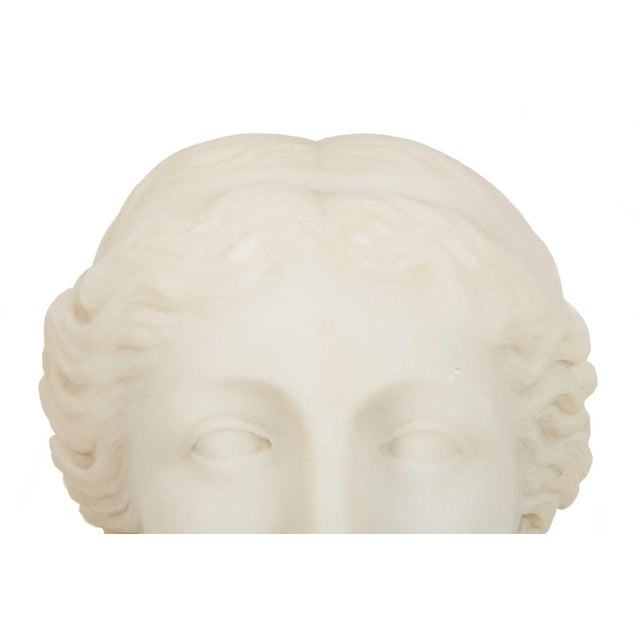 Italian Grand Tour Carved Alabaster Bust of Venus of Milo, 20th Century For Sale - Image 17 of 18
