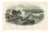 After Édouard Traviès, Le Squale Scie (Sawfish), 1840, Hand-Colored Engraving For Sale