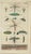 Early 19th Century Wilhelm, Insects and Life Cycles, 1832, Prints, Set of 4 For Sale - Image 5 of 6