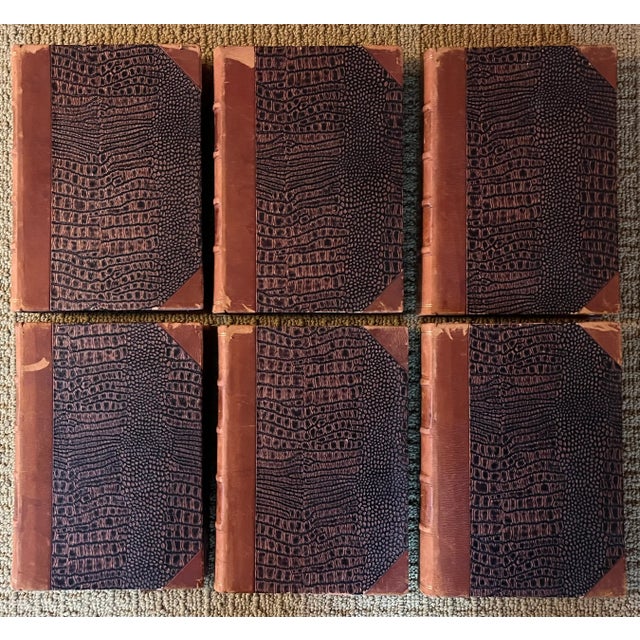 Animal Skin Fine Leather Bindings / Books - History of the Kingdom of Denmark - Danmarks Riges Historie - 6 Volumes For Sale - Image 7 of 14