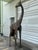 Lifesize Welded Metal Giraffe . Great Garden Decor For Sale - Image 4 of 12