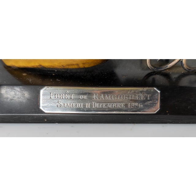 Metal 19th Century English Sterling Silver Mounted Deer Hoof Hunting Trophy For Sale - Image 7 of 13