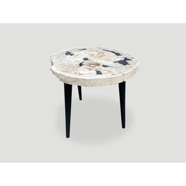 2010s Andrianna Shamaris Petrified Wood Slab Table with Steel Base For Sale - Image 5 of 18