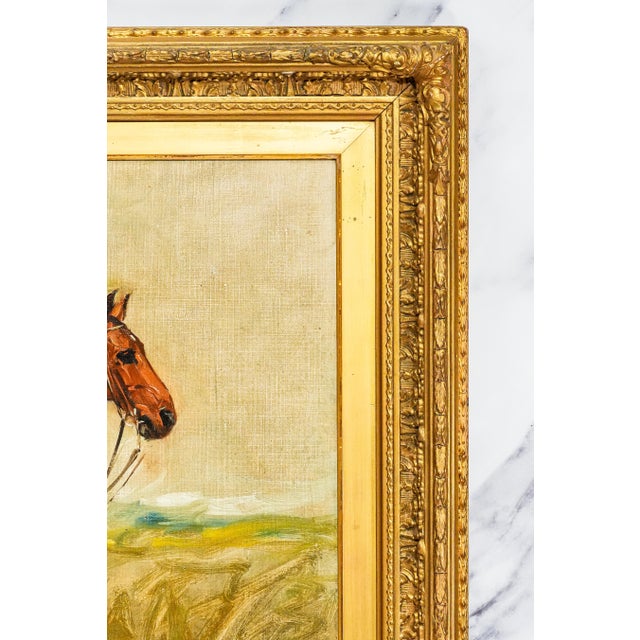 Wonderful Antique Oil Painting of Horse Signed Equestrian Portrait in Gilt Gesso Frame English Country Art For Sale - Image 9 of 13