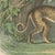 Antique Lion, Jaguar, Leopard and Cheetah Print by Kolb, 1890 For Sale - Image 4 of 12