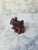 Japanese Red Boxwood Japanese Netsuke Elephant For Sale - Image 3 of 14