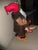 Lynn Haney 2003 Santa For Sale - Image 4 of 8