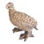 Vintage Life-Size Pottery Bird For Sale