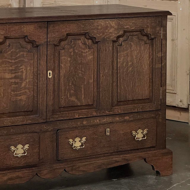 Burnt Umber 18th Century English Oak Mule Sideboard ~ Chest ~ Credenza For Sale - Image 8 of 18