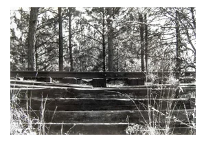 Railroad Tracks Photograph