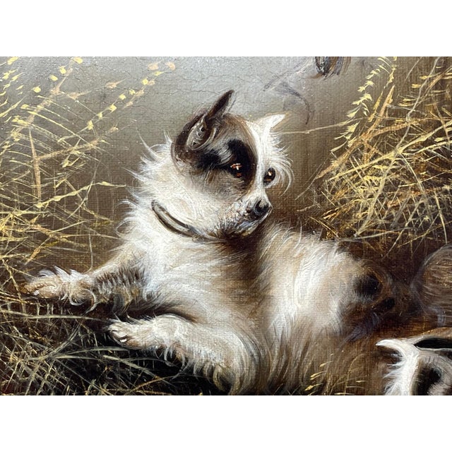 Edward Armfield 19th Century a Sharp Lookout Terriers Ratting Oil Painting For Sale - Image 9 of 15