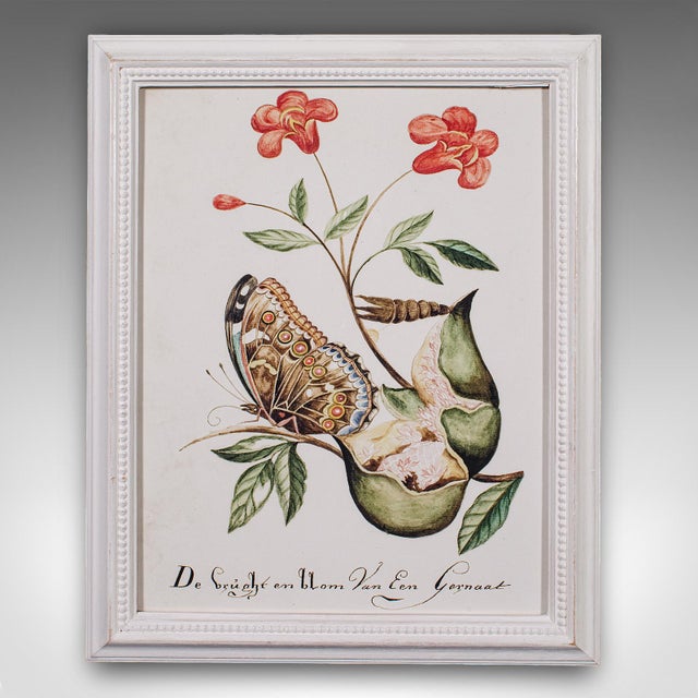 4 Vintage Botanical Pictures, Framed Print, Plant Illustrations, Natural Art For Sale - Image 10 of 12