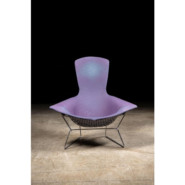 Knoll 1970s Harry Bertoia Bird Chair for Knoll International For Sale - Image 4 of 12
