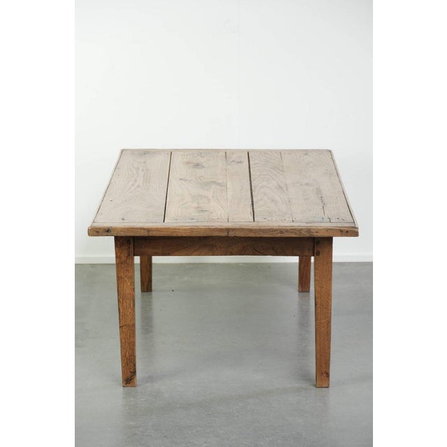 Rustic Coffee Table in Pine For Sale - Image 4 of 12