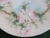 Ceramic Antique Hand-Painted Porcelain Plate Thomas Sevres Bavaria For Sale - Image 7 of 8