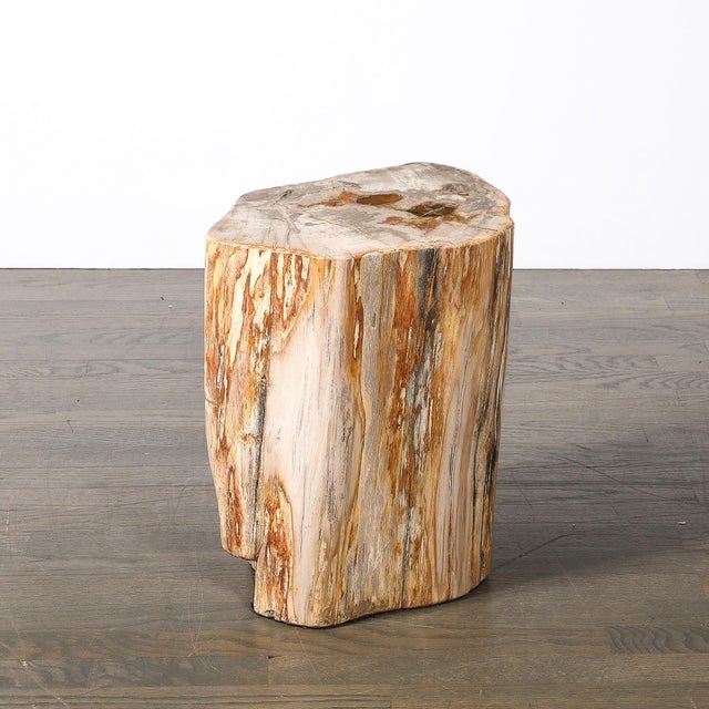 Polished Petrified Wood Side Table/Stool W/ Agate Inclusions & Natural Graining For Sale - Image 10 of 10