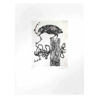 Leo Guida, Crow, Etching, 1972 For Sale