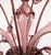 Large Mid-Century Aubergine Murano Chandelier in the Manner of Ercole Barovier For Sale - Image 13 of 16