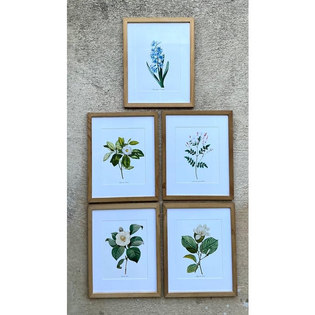 Vintage Botanical Floral Prints in Wood Frames - Set of 5 For Sale - Image 4 of 13
