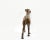 Late 20th Century Cast Metal Whippet or Greyhound Dog Statue With Mottled Finish For Sale - Image 4 of 11