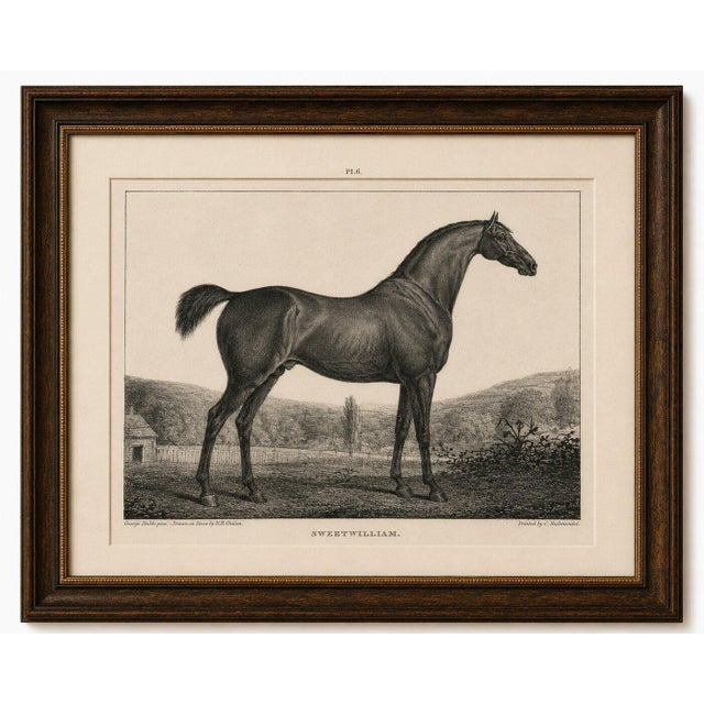 After Chalon, Equestrian Illustrations, Lithographs, 1840, Set of 4 For Sale - Image 4 of 12